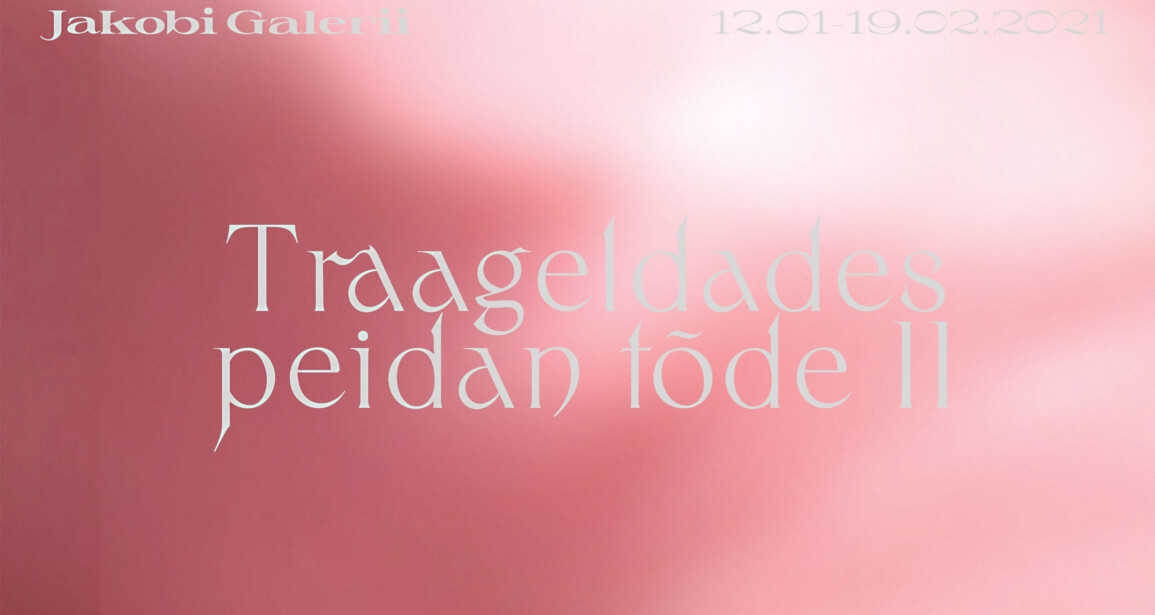 Hanna-Liisa Lavonen ”Traageldades peidan tõde II”